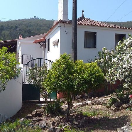 Casa Da Milharica Villa Figueiro Dos Vinhos Luaran gambar
