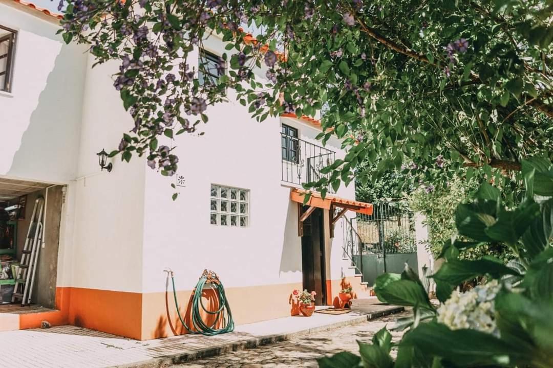 Casa Da Milharica Villa Figueiro Dos Vinhos Luaran gambar