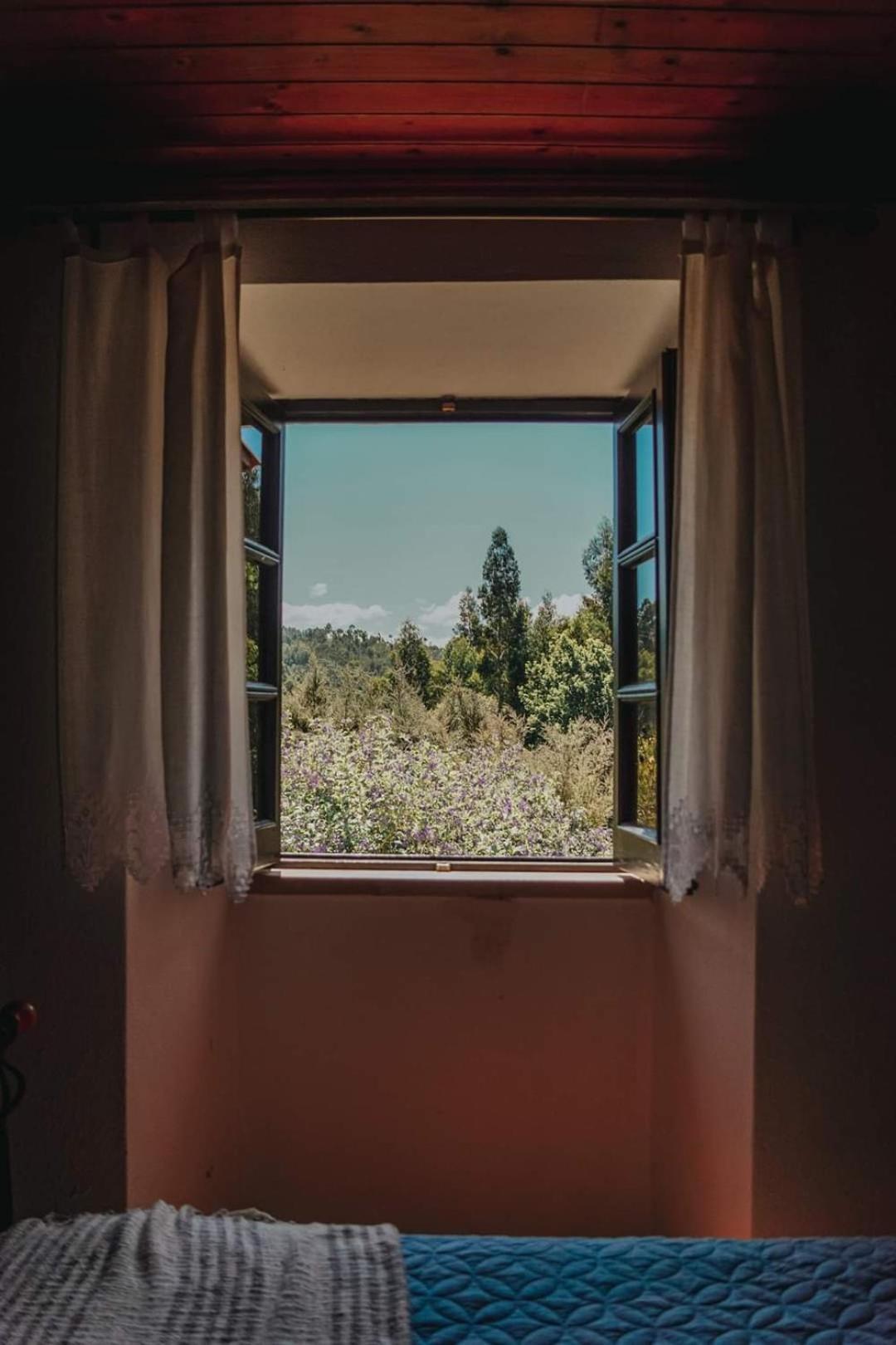 Casa Da Milharica Villa Figueiro Dos Vinhos Luaran gambar