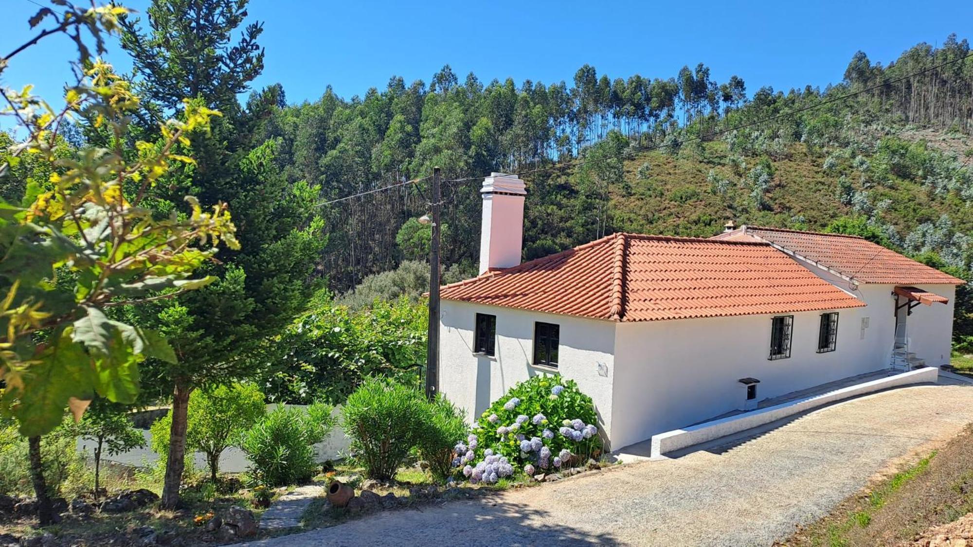 Casa Da Milharica Villa Figueiro Dos Vinhos Luaran gambar