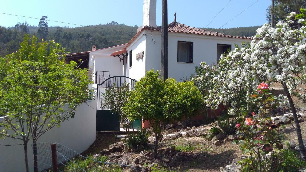 Casa Da Milharica Villa Figueiro Dos Vinhos Luaran gambar